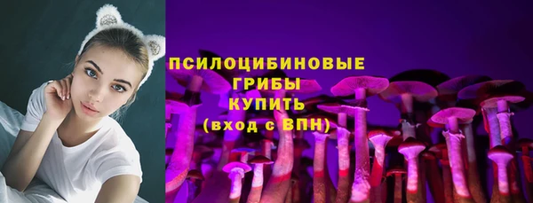 ПСИЛОЦИБИНОВЫЕ ГРИБЫ Абдулино