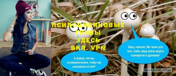 ПСИЛОЦИБИНОВЫЕ ГРИБЫ Абдулино