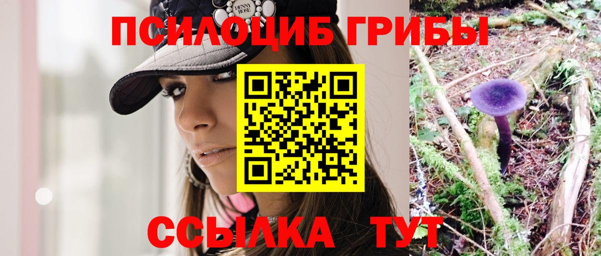 Псилоцибиновые грибы Psilocybine cubensis Усть-Илимск